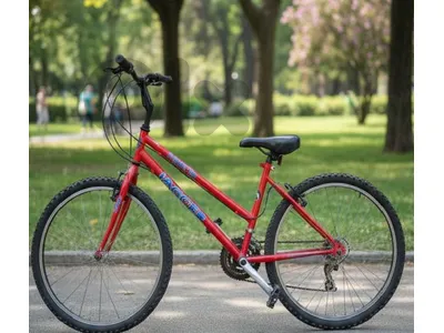 Large size bicycle for kids