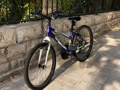 Bicycle for 130$