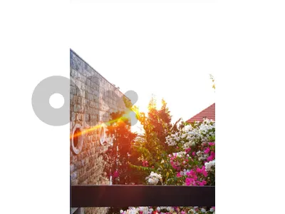 cafe resto  garden