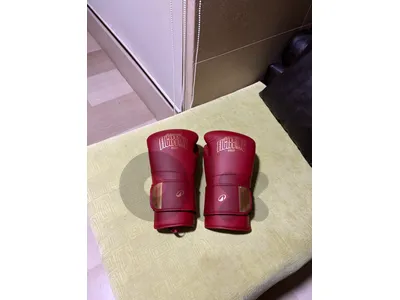 Boxing / Muay Thai Training Gloves – 14oz
