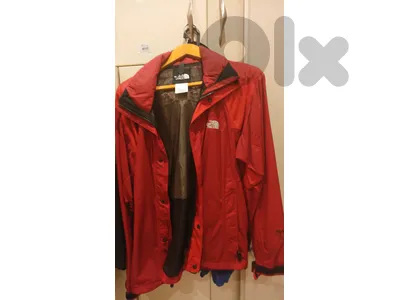 the north face original