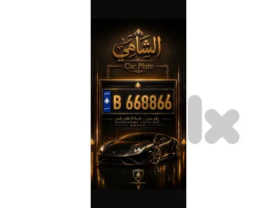 special plate number  رقم سيارة مميز