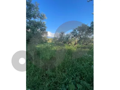 LAND/ Rihaneh, Jbeil/ peaceful area/ريحانة/ REF#NI136501 !