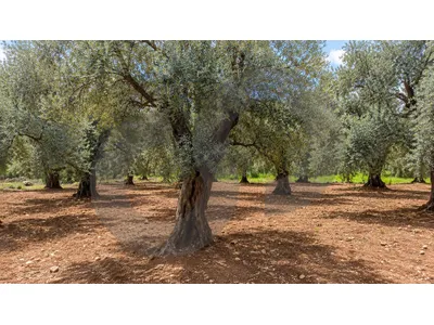 LAND/Kferhawra/Zgharta/كفرحورا /zoning 25/50/ REF#ZY136535 !