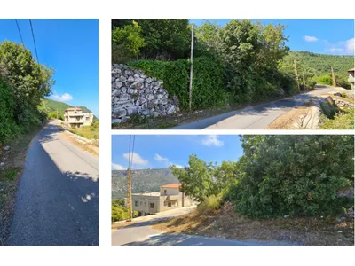 🏞️ 2 Lands for Sale in Bezhel | Can Be Sold Separately