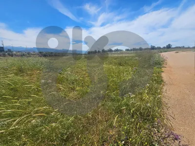 LAND/Upscale neighborhood/الكورة/Koura/  25/50 zoning / REF#PC136787 !