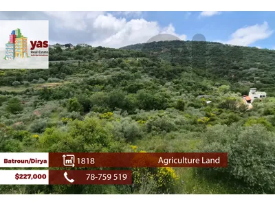 Batroun/Dirya 1818m2 | Agriculture Land | Prime Location | MCH