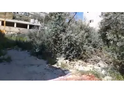 industrial Land For sale in Kfarchima