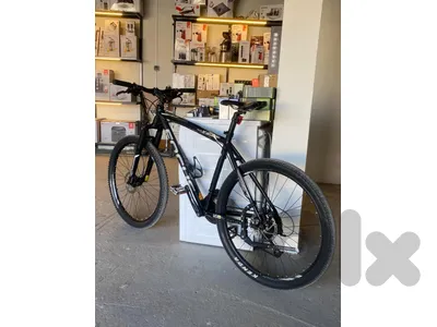 professional mountain bike