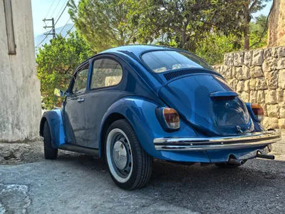 Volkswagen Beetle 1969