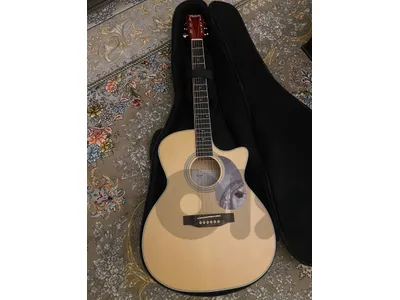 acoustic guitar