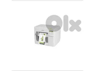 epson color works printer