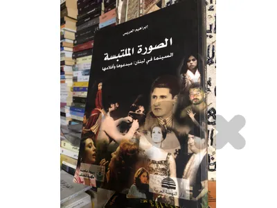 الصورة الملتبسة