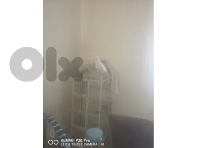 للبيع مع القفص