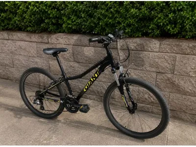 Giant XTC Jr 24 Mountain Bike