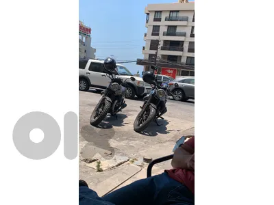 MOTO GUZZI - v7 Stone 2015