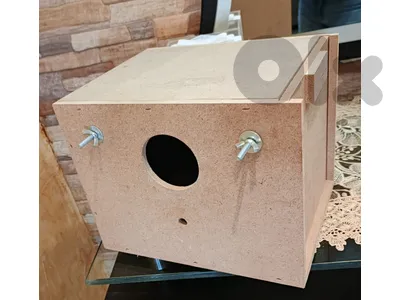 معشة كروان او روز
