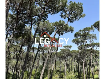 Land For Sale In Hasbaya El Maten