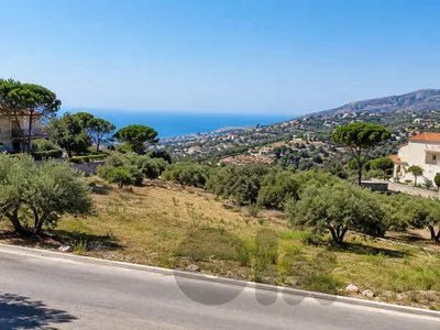 Land For Sale in Blat أرض للبيع في بلاط CPJRK274
