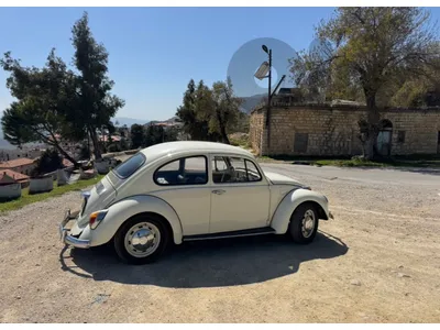 Volkswagen Beetle 1969 1969 Volkswagen Beetle 1969 1969