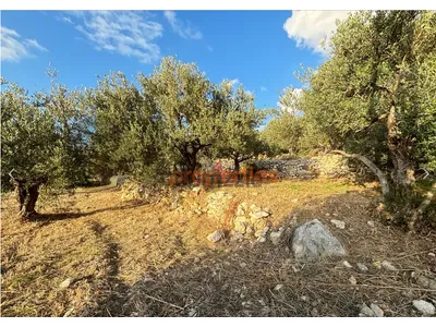 Amazing Land for Sale in kfardebian ارض للبيع في كفردبيانCPJRK212