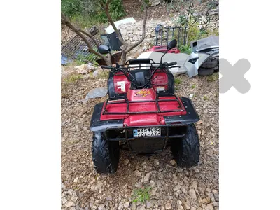 ATV arctic cat