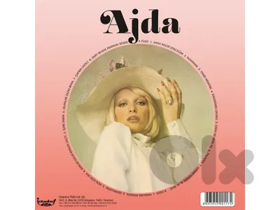 Ajda Pekkan " LP " ( ONE DAY OFFER ,ONLY 20 $ )