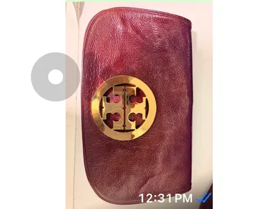 Torry Bursh clutch