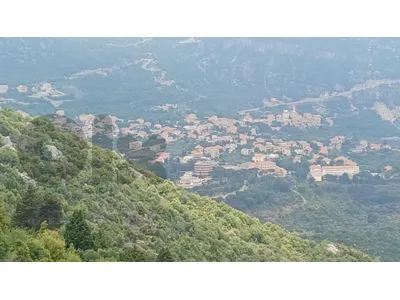 land for sale in Douma أرض للبيع في دوما