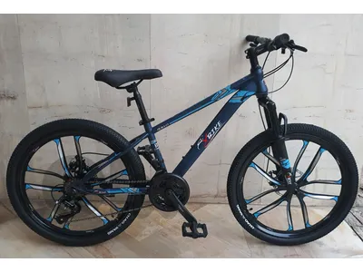 size 24" Vitesse 21 speed (brand new)