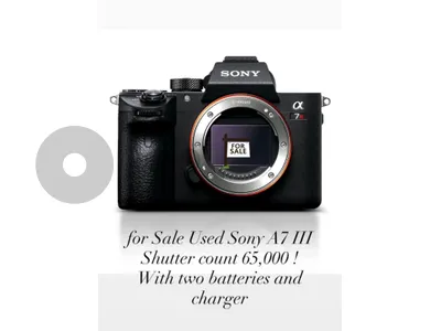 sony A7 R