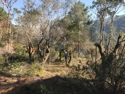 أرض للايجار في بين مري Land for rent in Beit Meri