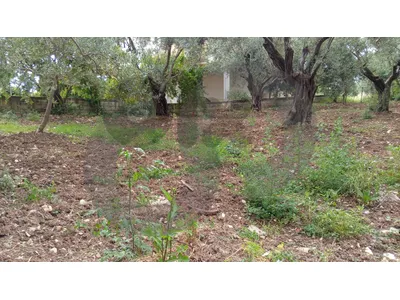 FLAT LAND/direct road access/KFARSAROUN,KOURA/Zoning :25/50/كفرصارون/ REF#AT136827 !
