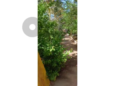 200m House on 1200m land Sawfar Jabal Aley
