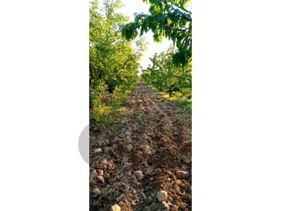 GMB326SZ - Land For Sale In AAqoura - أرض زراعية للبيع في العقورة GMB326SZ - Land For Sale In AAqoura - أرض زراعية للبيع في العقورة