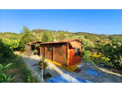 CHAWKI'S BUNGALOW