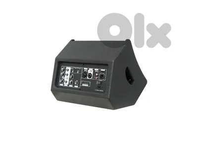 Accuracy Pro Audio WK08-GO speaker