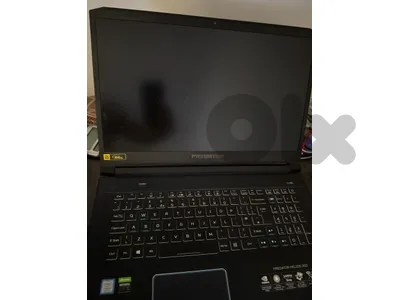 Acer Predator Helios 300 (17.3)