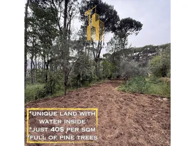 Land for Sale in Aghmeed, Aley أرض للبيع في أغميد، عاليه