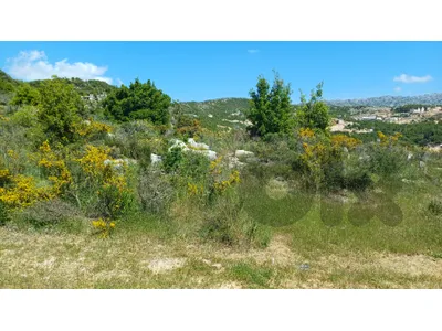 land for sale in Bchaaleh أرض للبيع في بشعلة
