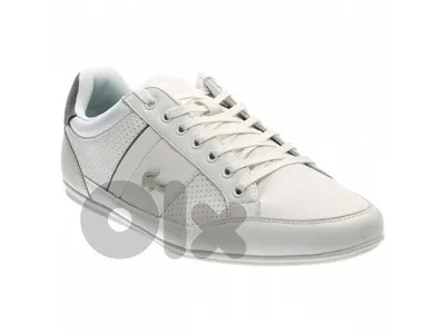 Chaymon Lacoste size 43