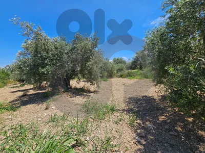 Investment opportunity, negotiable, near highway, zgharta/زغرتا  REF#PC136881