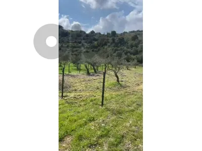 Land for sale in Kfifan – Batroun أرض للبيع في كفيفان - البترون