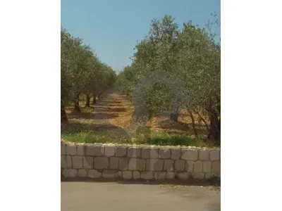 A 2500 sqm land for sale in  Koura – Amioun/ أميون الكورة REF#RL136891
