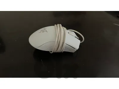 razer mouse