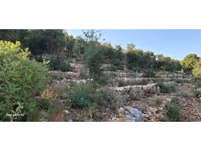 Land for sale in Chabtine