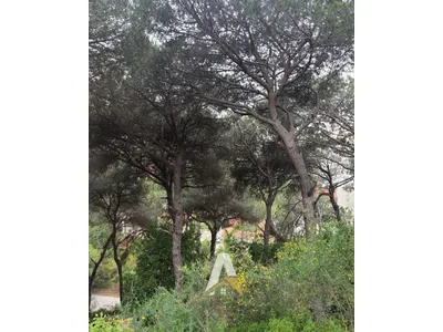 600 SQM Land In Mar Chaaya With Mountain & Sea View