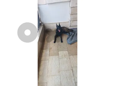 for sale