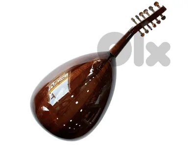 Zeryab Oud Iraqi Model 0