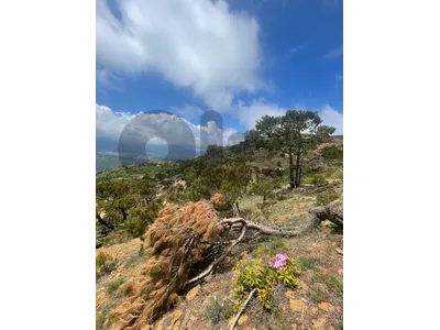 Land for Sale in Antoura El Metn – Lebanon